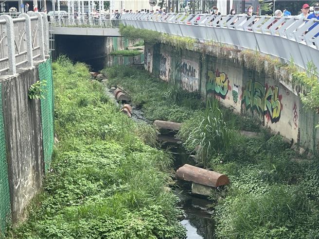 新北市水利局將藤寮坑溝打造成近自燃河川的溝渠。（王揚傑攝）
