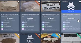 23歲外交替代役「建販毒平台」在美遭逮！林睿庠恐終身監禁  