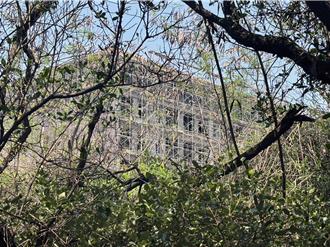 「迷你版亞馬遜森林」因蓋飯店恐遭破壞 南市府：審慎檢視