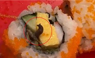 合點京站店壽司有蛞蝓遭疑沒評核 衛生局回應了