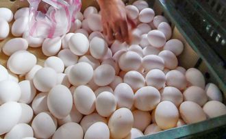 天热鸡蛋卖不完！产地价再降3元