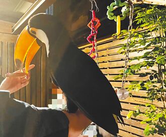 餐廳靠寵物互動營利 增稽查頻率