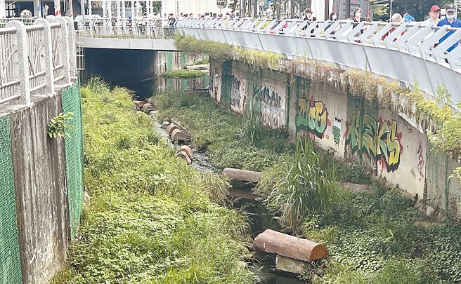 横跨中和、土城的藤寮坑沟，是全国第1条将都会型三面光排水沟，改造成近自然河川的沟渠。（王扬杰摄）
