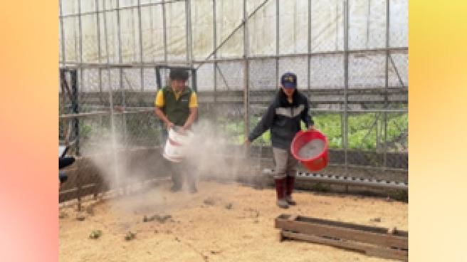 芥菜種會培育的第一座食農文化教育基地「三一食農久美據點」扎根南投，雞農烏瑪（右）整理雞舍，改善雞隻生活環境。（圖／芥菜種會）