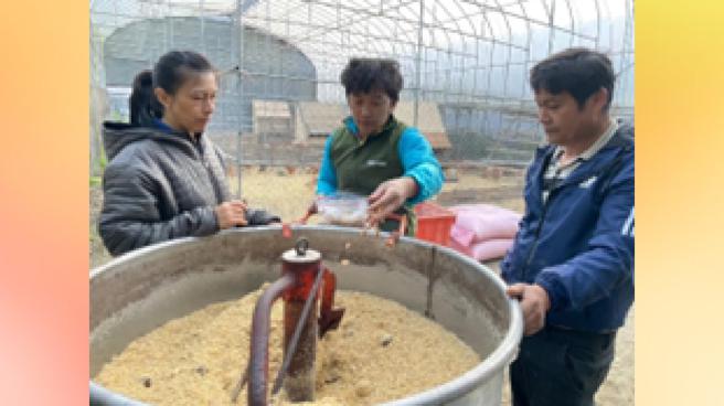 芥菜種會原鄉產業顧問夏禾（中）指導烏瑪（左）自製肥料。（圖／芥菜種會）