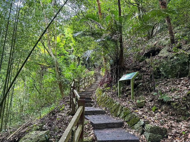 游客可沿着石盘谷步道漫步，欣赏茂密竹林、清澈瀑布。（图／嘉义县文观局）