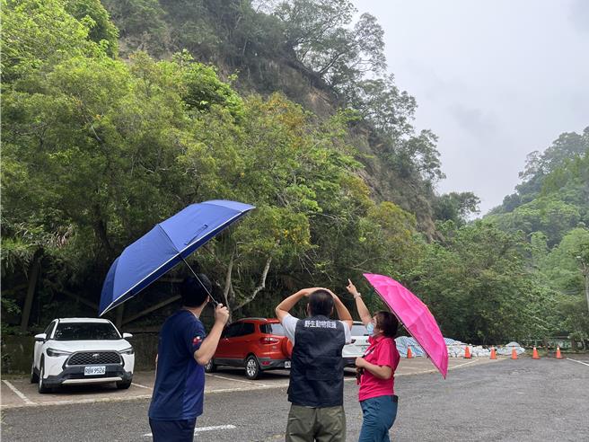 台中市政府农业局21日与当地里长、民眾及专家到新田步道第2停车场会勘，虽未发现黑鸢行踪，仍呼吁游客勿随意喂食野生动物，并与黑鸢保持安全距离。（台中市政府提供／张妍溱台中传真）