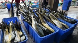 議員建議台東舉辦第一鮪拍賣會 饒慶鈴：會努力協助