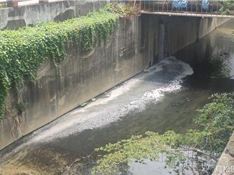 凤山溪鱼群翻白肚 高市环保局查获2工厂非法偷排