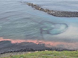 澎湖七美珊瑚產卵大爆發 雙心石滬開起粉紅派對