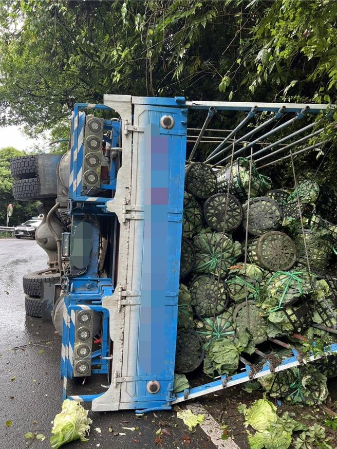 菜車過彎因天雨路滑失控撞山壁翻覆，滿車高麗菜掉滿地或擠壓，收成全都泡湯了。（警方提供／楊靜茹南投傳真）