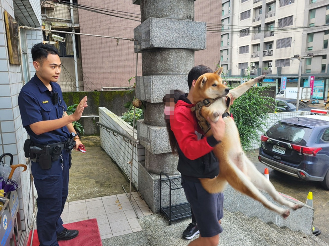 陳姓飼主至所稱要尋找走失的柴犬「Momo」，陳姓飼主表示家住社區內，因住處大門一時開啟未注意，豈料反應過來時「Momo」已翹家不知去向。（圖／警方提供）