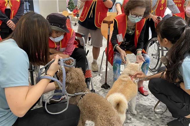 活動中，每隻汪星人可愛乖巧，不但親人且在互動中有著善解人意的展現、猛搖尾巴，融化現場長輩們的心，長輩直呼「揪乖啦！」。（弘光科大提供／張妍溱台中傳真）