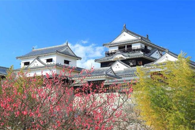 國人赴日旅遊度假不再獨鍾東京、大阪與京都，查詢二線城市的台灣客增加，樂天旅遊推介松山城，是初次造訪愛媛的薦經典景點。圖／樂天旅遊提供