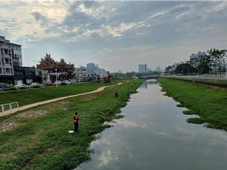 「生態殺手」現蹤鼓山運河 水利局委請釣魚協會移除泰國鱧