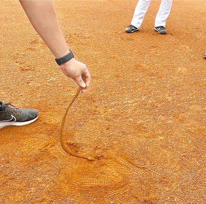高雄澄清湖棒球场4月24日比赛期间发现有铁条插在一垒垒包边，引起全国热议，如今调查报告正式出炉。（资料照片）
