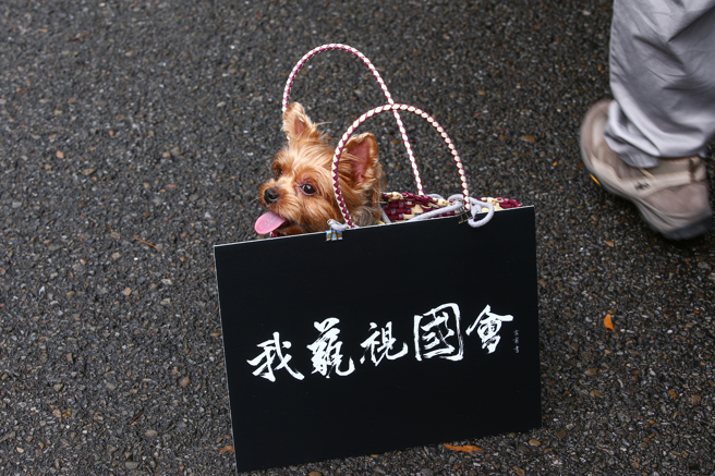 超过50个民团24日号召民眾在立法院外青岛东路与济南路集结，要求将《立法院职权行使法》与《中华民国刑法》藐视国会罪等修法法案退回委员会重审。（邓博仁摄）