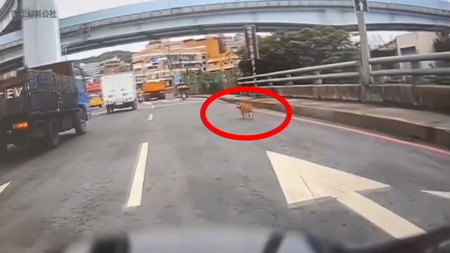 小黃肇事後居然逃逸，還回頭觀望一次，就加速逃走了。（翻攝爆料公社）