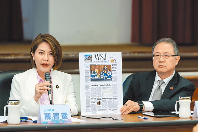 被民進黨立委鍾佳濱推下主席台的立委陳菁徽強調，民進黨過去8年在立院掌握絕對多數，如今變成少數，卻仍以同樣態度打壓在野黨。（郭吉銓攝）