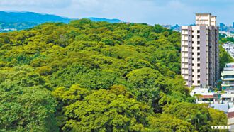 520檔期 新北成交价 较4年前成长4成7