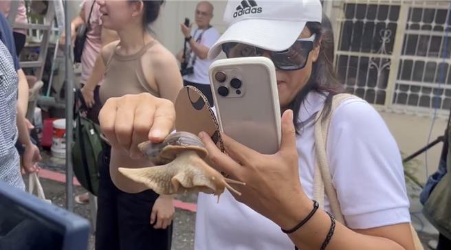 陳小姐和她的愛蝸「也羅媽」跑出第一名成績，拿手機為蝸牛拍照。（王志偉攝）