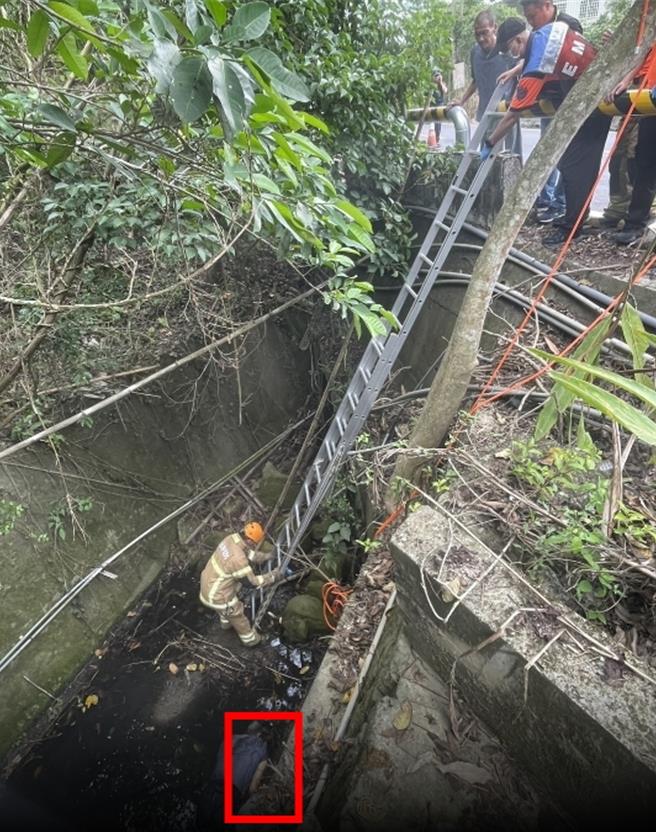 台南市洪姓男子25日下午1時許到東山區拜廟，半途在產業道路邊解手，失足跌落山溝慘死。（讀者提供／程炳璋台南傳真）
