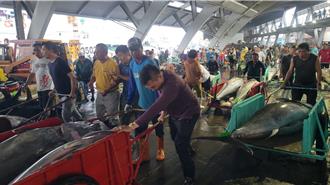 黑鮪魚價格崩盤！從萬餘元灌破剩70元 漁會點出1原因