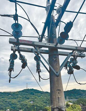 基隆停電又是松鼠惹禍 台電嘆半數量體待被覆