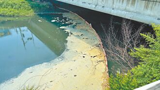 廢水汙染 鳳山溪連3天飄惡臭魚群暴斃