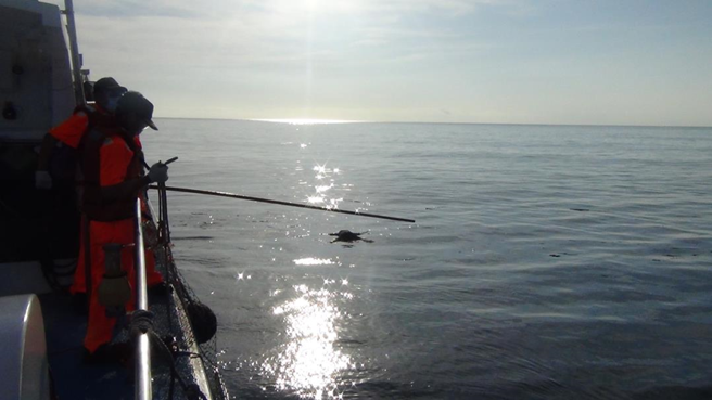 警消当时将浮尸打捞上岸时，由于遗体泡水肿胀，面部难以辨认，身上并未发现明显外伤、无身分证明文件，因此成为无名女尸。（图 / 警方提供）