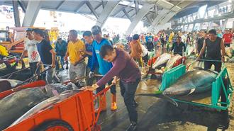 鮪魚價格大跌 每公斤剩70？最新均價差很多