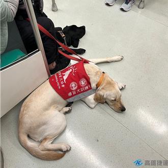 導盲犬上輕軌無障礙 2招讓身障者順利搭高雄捷運