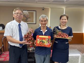 不受暖冬影響！大里「旺茘」採收 肉Ｑ、甜度高別有風味