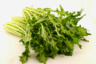 维生素A胜绿花椰9倍 菊苣5超强功效曝：护眼又顾肠