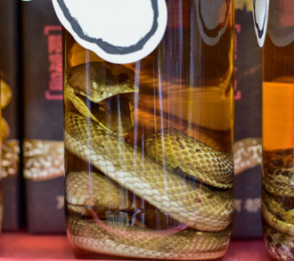 男抓毒蛇釀酒 遭咬傷急送醫 牠「肇事逃逸」嚇壞居民