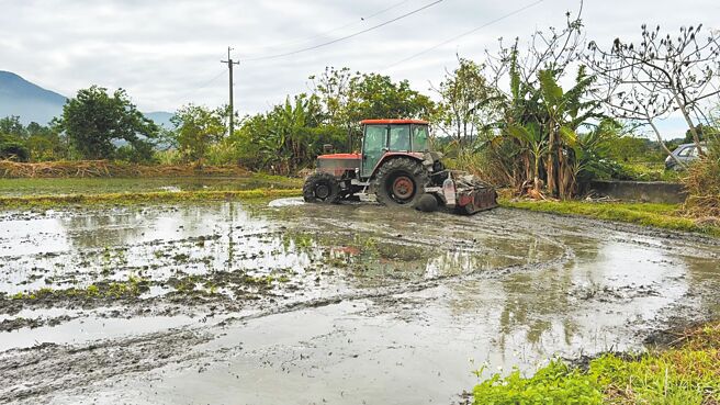 政府為鼓勵青年返鄉務農，提供農機補助和購屋低利貸款等政策，雖有零星青農返鄉，但工時長且不固定，農忙期幾乎無休息日，人力仍相當吃緊。（蔡旻妤攝）