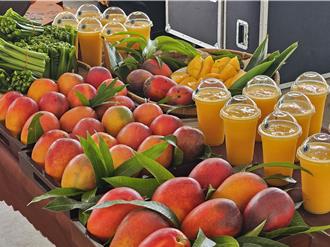 「狮子好芒」又来了 来屏东品嚐爱文芒果、看表演