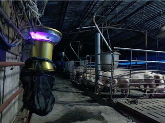 屏東首例本土日本腦炎 7旬翁「住豬舍附近」嘔吐發燒又抽蓄