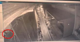 竊盜集團潛入永和工地偷6捆電纜線 失風當場被捕