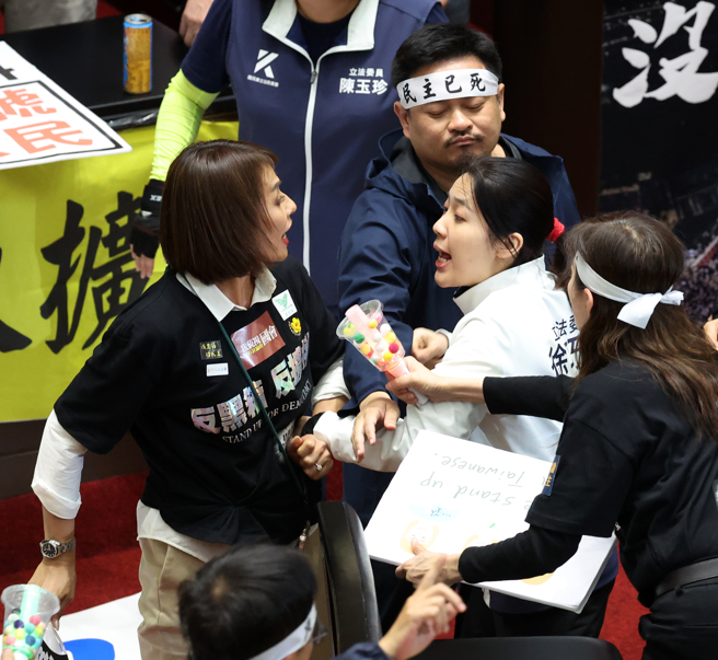 立法院院會28日續審國會改革相關法案，在接近二讀完成前，藍綠衝突卻突然升溫，民進黨立委邱議瑩（左）衝上前打了國民黨立委羅智強，國民黨立委徐巧芯（右）見狀也衝上前聲援。（資料照，劉宗龍攝）