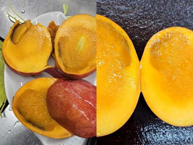 有民眾在宜蘭的果菜市場買芒果，回家後直接冰進冰箱，數日後切開來，一箱12顆竟有一半以上果肉都爛掉變色。（民眾提供／吳佩蓉宜蘭傳真）