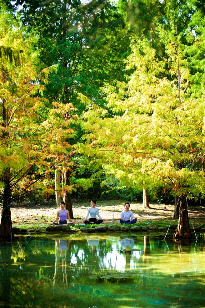 在30多年純淨無毒的有機土地上，進行全方位的身心靈鍛鍊。（業者提供）