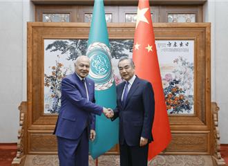 王毅指巴勒斯坦無法恢復民族合法權利是當今最大不公