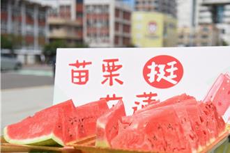 苗栗挺花蓮！縣府攜手農會小舖行銷災區農特產