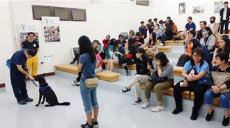 暑期狗狗訓練營免費參訓 一起相揪高雄「毛」起來玩