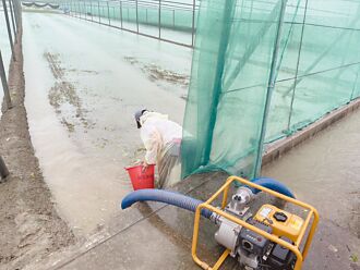 國土法衝擊農民 張麗善籲1公頃1年對地補貼40萬