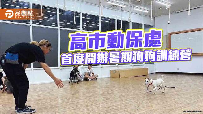高市動保處首度開辦暑期狗狗訓練營，相揪毛「伴bàn」一起上課去。（圖／高雄市農業局）