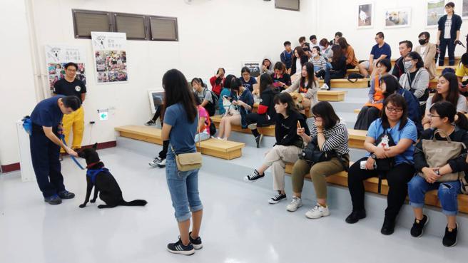 高雄市動物保護處將於今年暑假期間開辦「狗狗訓練營」。（圖／高雄市農業局）