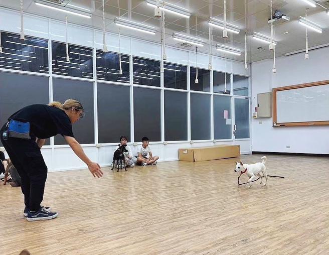 高市動保處聘請專業訓犬師開辦一系列居家犬隻教育訓練課程。（圖／高雄市農業局）