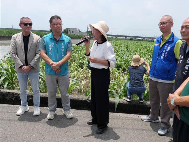 云林县本月28日强降雨造成玉米倒伏，30日云林副县长谢淑亚（左三）、立委丁学忠（左一）等人会同农粮署人员前往土库镇勘灾，将在4方会勘确认受灾情况后，由县农业处函请农业部启动天灾救助。（张朝欣摄）